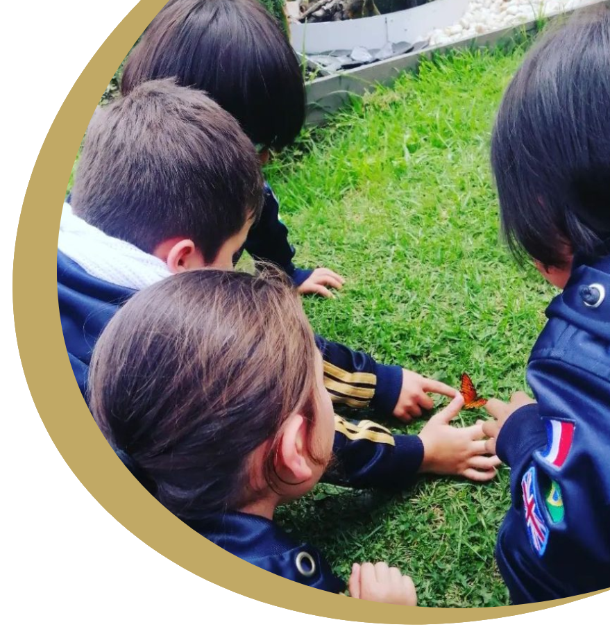 https://colegio.desarrolloicono.com.co/wp-content/uploads/2026/06/header1ajus.png
